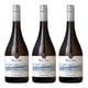 thumbnail image 1 of 3 Vinos Cool Coast Sauvignon Gris, 750 Ml, 12.5%, 1 of 3