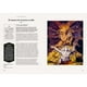 thumbnail image 3 of El diablo en el arte, 3 of 5