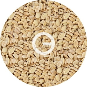 Tnogal - Mani Salado 10Kg