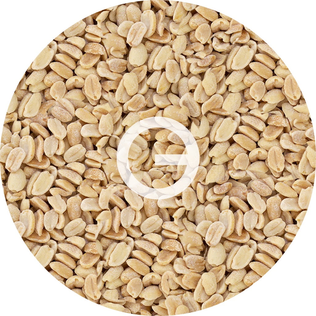 Tnogal - Mani Salado 10kg