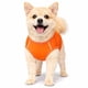 thumbnail image 3 of Playera sin Mangas para Perro Pet Life Active Aero-Pawlse Jaspeada, 3 of 9