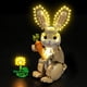 thumbnail image 1 of Kit Luces LED BrickBling para Lego Creator Conejo 31162 USB, 1 of 3