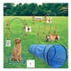 thumbnail image 3 of Equipos De Agilidad Perros Cursos De Obstáculos Kit De entrenamiento, 3 of 4