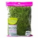 thumbnail image 1 of Musgo Español ProFlora 16 oz True Green para Arreglos, 1 of 3