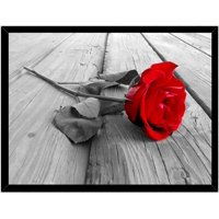 Genérico - Cuadro Decorativo Rosa Roja Medidas 30X40 Cm