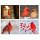 thumbnail image 1 of Tarjetas de notas Small World Greetings – Cardenal (paquete de 12), 1 of 8