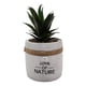 thumbnail image 1 of Planta Artificial Macetero Cerámica Vintage Love Of Nature, 1 of 3