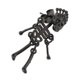 thumbnail image 3 of Halloween Punk Skull Head Skeleton Earring Stud fiesta traje negro, 3 of 5