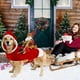 thumbnail image 3 of Ropa De Navidad Para Perros Y Gatos, Diseño De Papá Noel De Trineo, Para Perros Y Gatos Pequeños, Medianos Y Grandes, Xxxl, 3 of 7