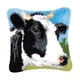 thumbnail image 1 of Diy Latch Hook Set Throw Pillow Covers Craft Para Bordado Alfombra Vaca, 1 of 5