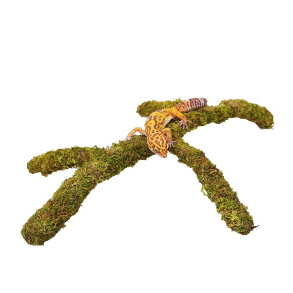 Juguete de escalada Jinymral 41 cm ajustable con musgo decorativo