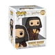 thumbnail image 1 of Figurita Funko POP! Harry Potter Hagrid 9.5 cm, 1 of 8