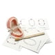 thumbnail image 2 of Montessori Tooth Model: Practical Life Material for Early Learning & Kindergarten Education, 2 of 2
