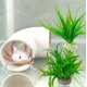 thumbnail image 1 of Set de Tubo de Escondite y Plantas Artificiales para Axolote nsgglecher, 1 of 5