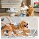 thumbnail image 2 of Kit De Aseo 7 En 1 Maquina Cortapelo Aspiradora Perros Gatos, 2 of 8