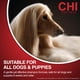 thumbnail image 5 of Champú CHI para perros sin lágrimas para cachorros, 473 ml, sin sulfatos ni parabenos, 5 of 6