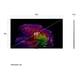 thumbnail image 2 of Smart TV LG 65" OLED evo AI G6 4K 2026 + Magic Remote Control, 2 of 14