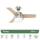 thumbnail image 2 of Pack 2 Ventilador Techo Hunter Finley 36 Silencioso Niquel, 2 of 6