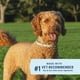 thumbnail image 3 of Collar PetArmor Extend para tratamiento de pulgas y garrapatas para perros grandes, 3 of 8