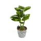thumbnail image 1 of Planta Artificial Pachira 25cm, 1 of 2