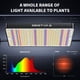 thumbnail image 3 of Lámpara LED de cultivo BESTVA 2025 Upgrade DC1000 100W para plantas de interior, 3 of 6