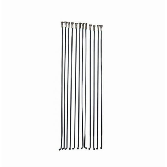 Rayo Shimano WH-MT15-A delantero/trasero 256 mm