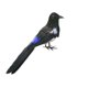 thumbnail image 5 of Aves De Bosque Realistas Artificiales Para Decoración De Hogar De Jardín Weding 22cm, 5 of 5