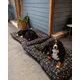 thumbnail image 3 of Cama Ortopédica Impermeable para Perros 4XL con Funda 150 × 120 cm, 3 of 5