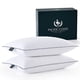 thumbnail image 1 of Pillow Pacific Coast Queen Size, juego de 2 unidades de fibra de plumón de ganso, 1 of 9