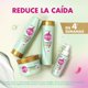 thumbnail image 4 of Acondicionador Sedal Prebióticos + Biotina, 340 ml, 4 of 6