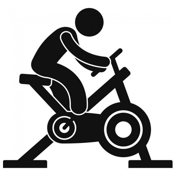 Decomural Exercise Bike Athletics Fitness WS-17911