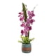 thumbnail image 2 of Planta Decorativa Artificial Tropical Elegante Floral Jhn, 2 of 3