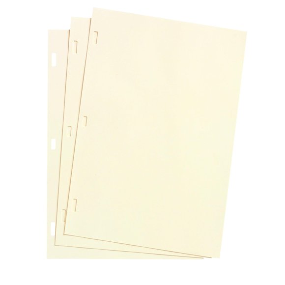 Hojas de libro contable Wilson Jones 28x21 cm 100/unidad Marfil