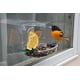 thumbnail image 2 of Comedero para pájaros Woodlink NAWFDR Audubon Mixed Treat Window, 2 of 2