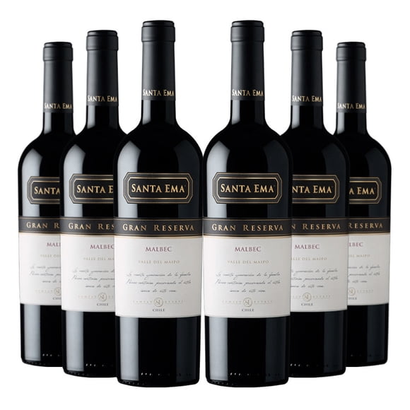 6 Vinos Gran Reserva Malbec, 750 ml, 13%