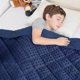 thumbnail image 1 of Manta con peso yescool 2,3 kg Minky lavable para niños, 1 of 8