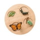 thumbnail image 3 of Bandeja De Madera Montessori Para Bicicleta, Decoración De Escritorio Para Juegos, Mariposa, 3 of 5