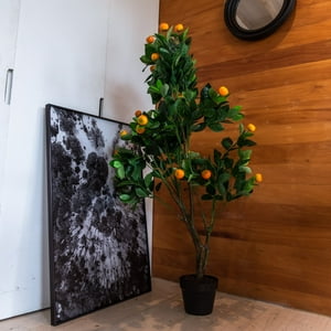 Vadell Home - Arbol De Naranjo De 130 Cm