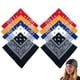 thumbnail image 1 of Bandanas, paquete de 10 pañuelos de algodón con estampado de cachemira para la cabeza para hombres y mujeres, multifuncionales, de 22 x 22 pulgadas, de algodón, estilo vaquero, para la cabeza, ciclism, 1 of 7