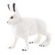 thumbnail image 4 of Figura De Conejo Realista Zoo Modelo De Animal De Granja Juguetes De Ense?anza Decoración De Mesa De Pie Blanco, 4 of 5