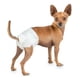 thumbnail image 2 of Pañales Desechables Para Mascota Perras Hembras Talla M/l/xl blanco L:  Circunferencia máxima de cintura 52cm, 2 of 4