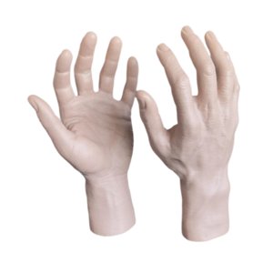 Magideal - 2 Piezas De Mano Masculina, Modelo De Manos Falsas, Decoración Realista Y Espeluznante De Halloween, Manos De Maniquí Para Fiesta Temática, Decoración