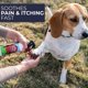 thumbnail image 2 of Spray para heridas Ranch Remedy 237 ml Alivio de picazón para todas las mascotas, 2 of 7