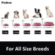 thumbnail image 3 of Pack de 2 cuencos para perro Podinor de acero inoxidable antideslizante, 3 of 6