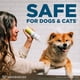 thumbnail image 2 of Shampoo Wondercide contra pulgas y garrapatas para perros y gatos 354 ml, 2 of 6