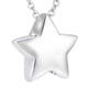 thumbnail image 2 of Collar De Urna De Estrella Pequeña, Colgante Conmemorativo, Soporte De Urna Para Perfume Para Mascotas, Marido Argent, 2 of 5