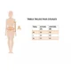 thumbnail image 3 of Calzón Faja Alto Invisible Reductor Modelador Cintura Colaless, 3 of 3