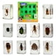 thumbnail image 1 of Set de especímenes de insectos Geoworld con lupa y folleto, 1 of 7