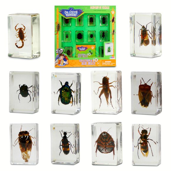 Set de especímenes de insectos Geoworld con lupa y folleto