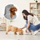 thumbnail image 4 of Uxcell Transportador de Perro en Bandolera para Perros y Gatos Pequeños de Hasta 16.5 Libras, Malla Transpirable con Bolsillo, Bolsa de Hombro Cruzada para Mascotas, (Gris, 1 Unidad), 4 of 6